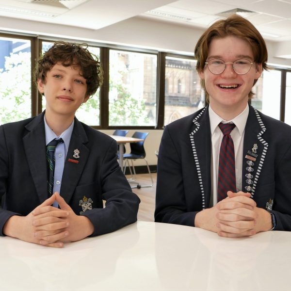 The power of two: student mentoring